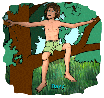 Davy up in a tree.