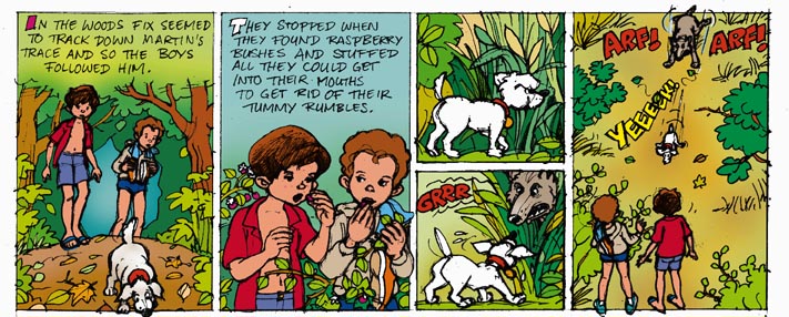 The boys followed Fix