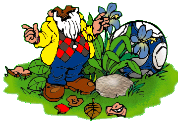 Never play soccer with garden gnomes!