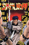 Samurai #13 cover