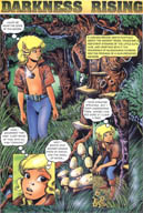NB 1-1 cover